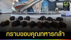 ปก web กราบขอบคุณทหารกล้า