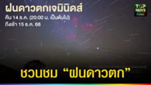 ปก web ชวนชม “ฝนดาวตก”