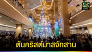 ปก web ต้นคริสต์มาสจักสาน