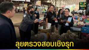 ปก web ลุยตรวจสอบเชิงรุก