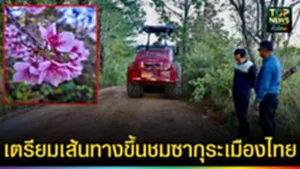 ปก web เตรียมเส้นทาง ชมซากุระเมืองไทย