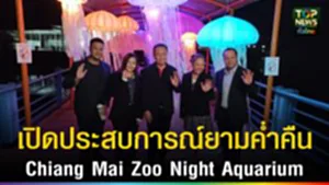 ปก web เปิดประสบการณ์ยามค่ำคืน