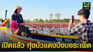 ปก web เปิดแล้ว ทุ่งบัวแดง​บึงบอระเพ็ด