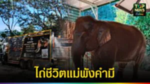 ปก web ไถ่ชีวิตแม่พังคำมี