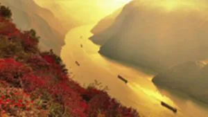 สีสันใบไม้แดงโกรกธารอู๋เสีย