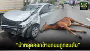 โปรแจคตัดภาพ