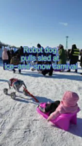 จีนใช้หุ่นยนต์สุนัขลากเลื่อนนน