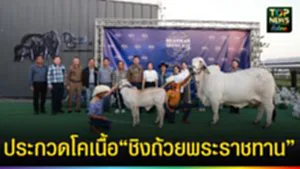 ปก web ประกวดโคเนื้อ “ชิงถ้วยพระราชทาน”