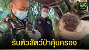 ปก web สัตว์ป่าคุ้มครอง