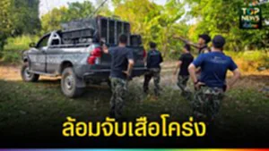 ปก web ล้อมจับเสือโคร่ง