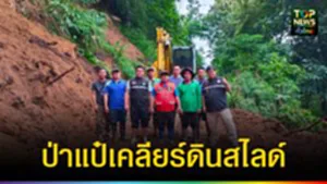 ปก web ป่าแป๋เคลียร์ดินสไลด์