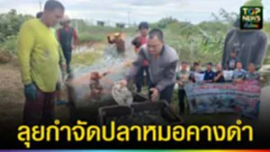 ปก web ลุยกำจัดปลาหมอคางดำ