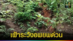 ปก web เฝ้าระวังอพยพด่วน