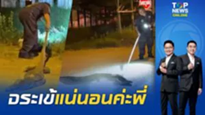 ขำก๊าก สาวสายตาสั่นโทรหากู้ภัยเสียงสั่นจระเข้ 2 เมตรนอนขวางถนน กู้ภัยมาถึงผงะ