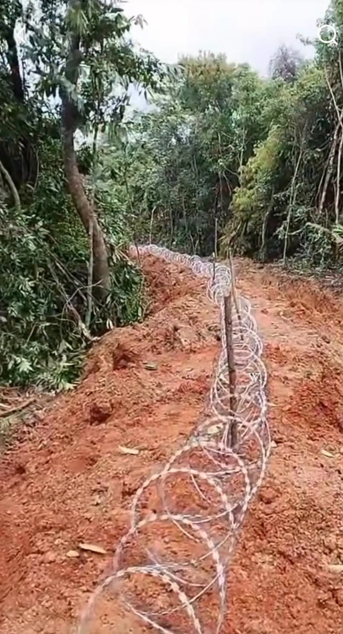 ชายแดนไทย