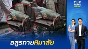 ตัวใหญ่มากปลายักษ์จาก "น้ำท่วมเนปาล" พัดไกลไปโผล่ "อินเดีย" ทางการสั่งห้ามกินเสี่ยง