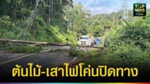 ปก web ต้นไม้-เสาไฟโค่นปิดทาง