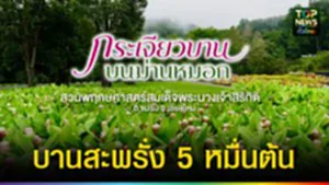 ปก web บานสะพรั่ง 5 หมื่นต้น
