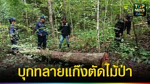 ปก web บุกทลายแก๊งตัดไม้ป่า