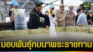 ปก web มอบพันธุ์กบนาพระราชทาน
