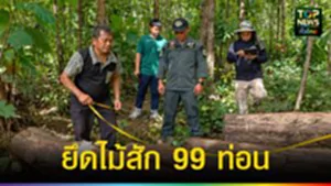 ปก web ยึดไม้สัก 99 ท่อน