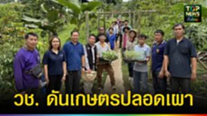ปก web วช. ดันเกษตรปลอดเผา