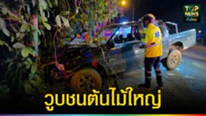 ปก web วูบชนต้นไม้ใหญ่
