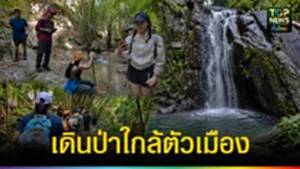ปก web เดินป่าใกล้ตัวเมือง