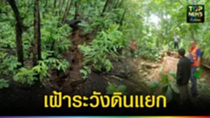ปก web เฝ้าระวังดินแยก