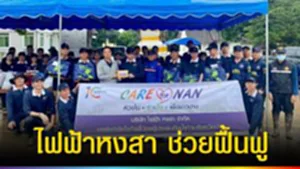 ปก web ไฟฟ้าหงสา ช่วยฟื้นฟู